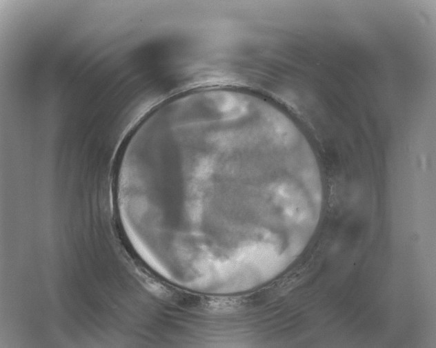 X0000066971274200604142131