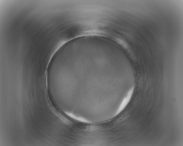 X0000066971275200604142131