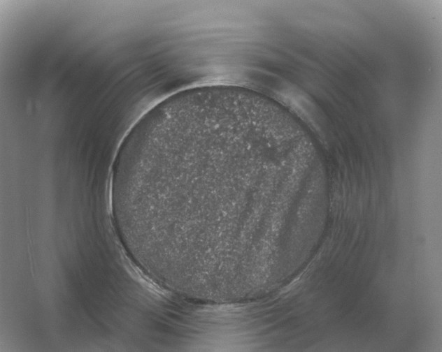 X0000066971276200604142131