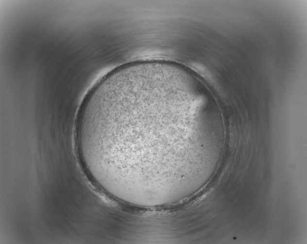 X0000066971277200604142131