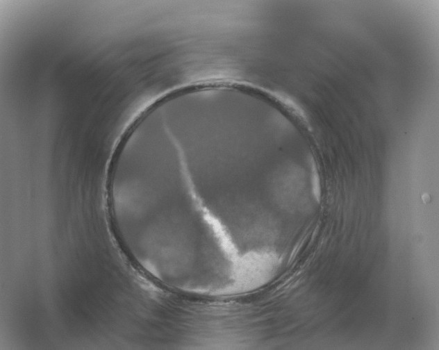 X0000066971279200604142131