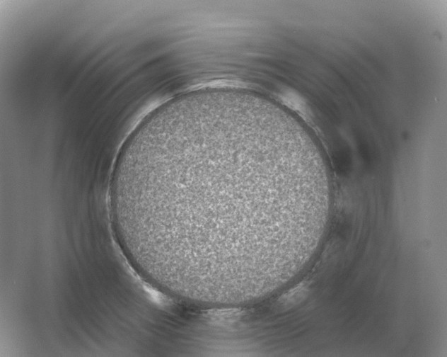 X0000066971282200604142131