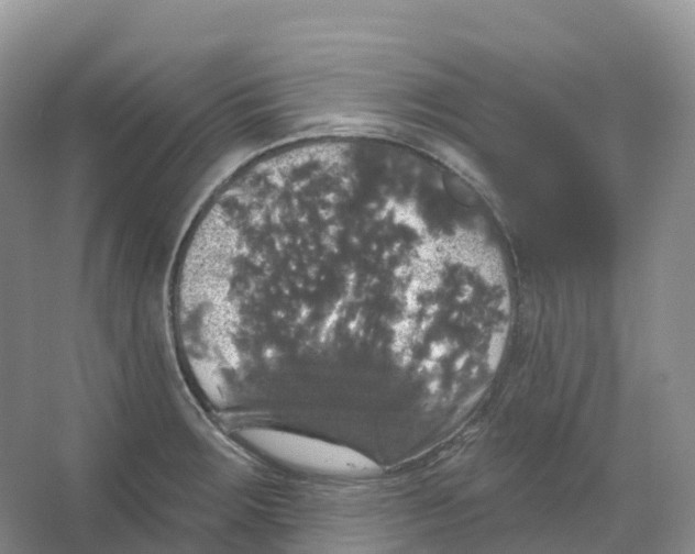 X0000066971283200604142131