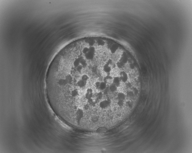 X0000066971287200604142131