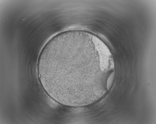 X0000066971288200604142131