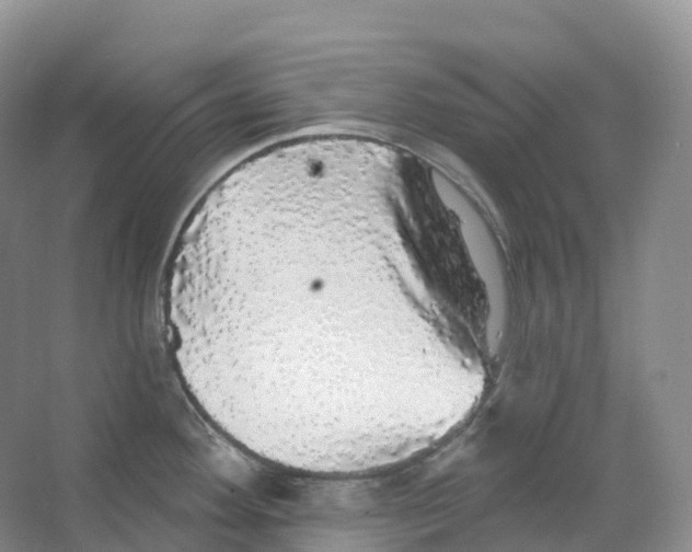 X0000066971292200604142131