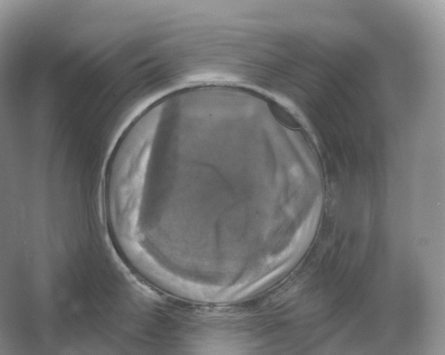 X0000066971295200604142131