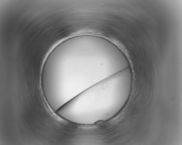 X0000066971296200604142131