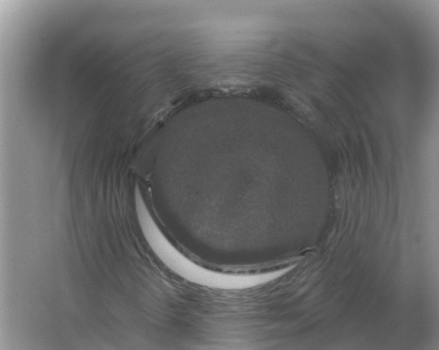 X0000066971298200604142130