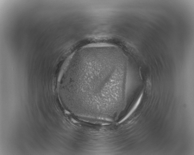 X0000066971300200604142130