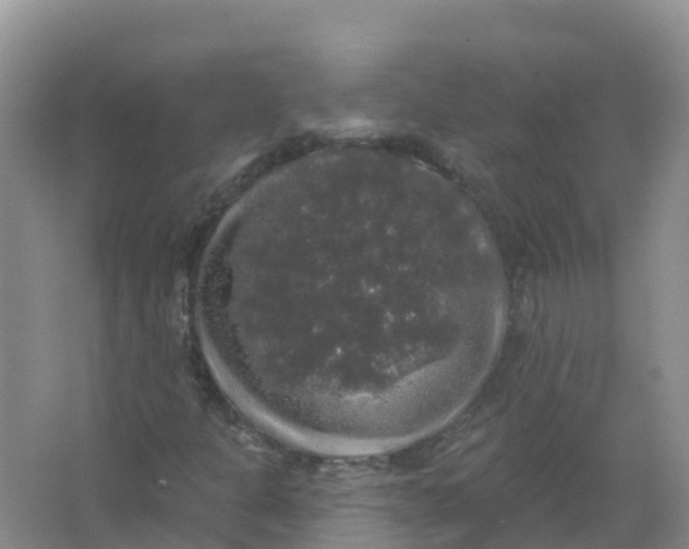 X0000066971301200604142130