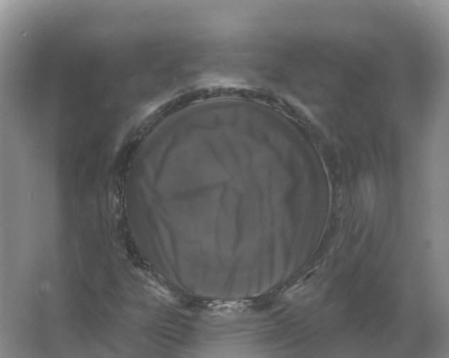 X0000066971303200604142130