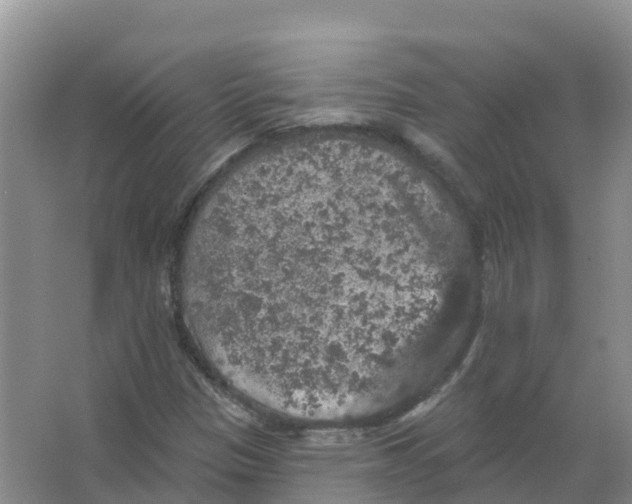 X0000066971305200604142130