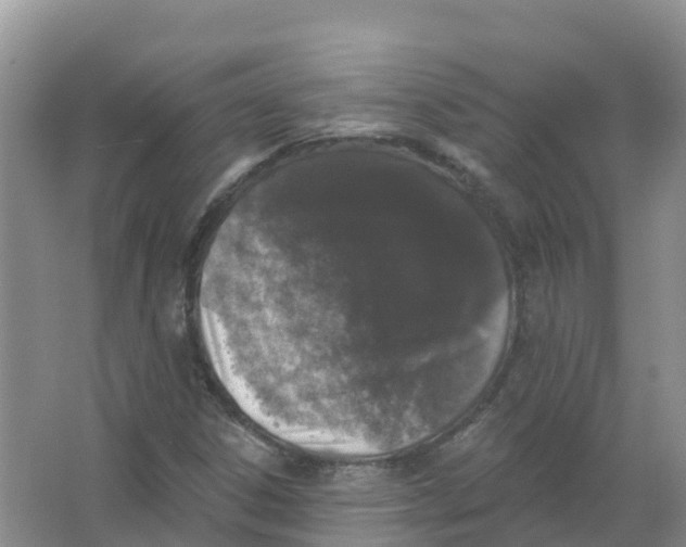 X0000066971306200604142130