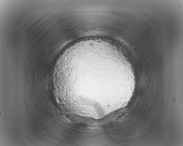 X0000066971313200604142130