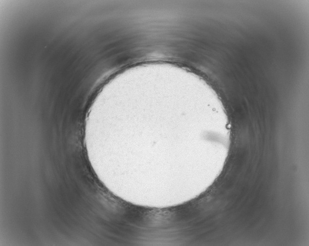 X0000066971314200604142130