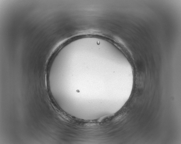 X0000066971320200604142131