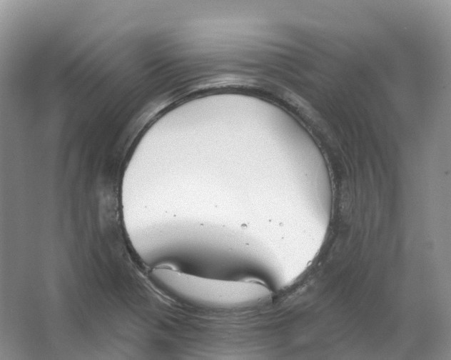 X0000066971321200604142131