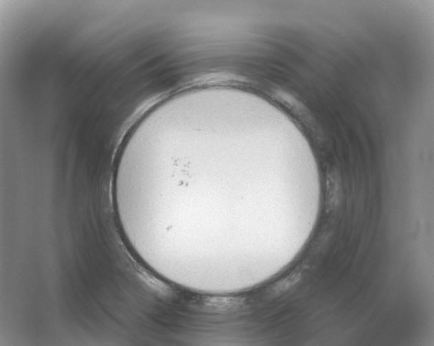 X0000066971322200604142131