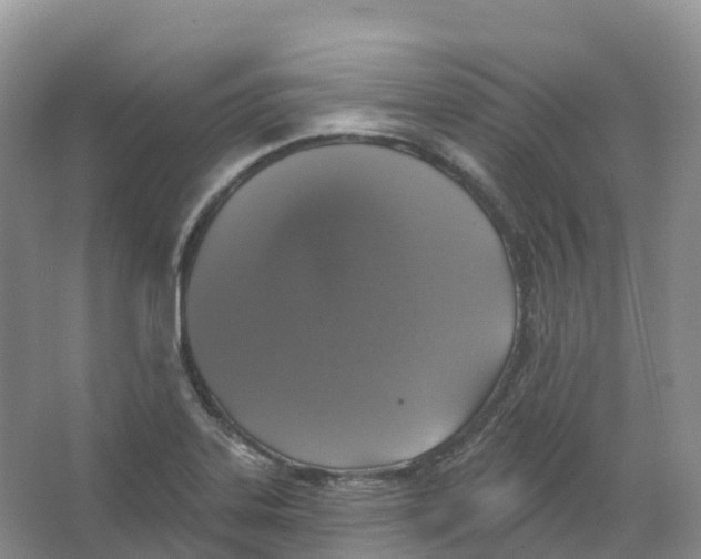 X0000066971323200604142131