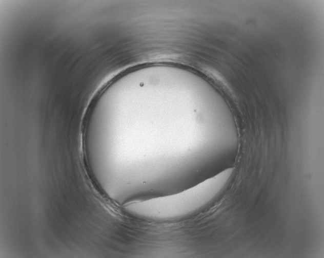 X0000066971324200604142131