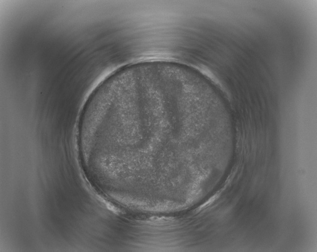 X0000066971325200604142131