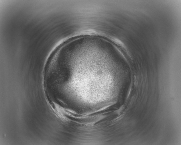 X0000066971326200604142131