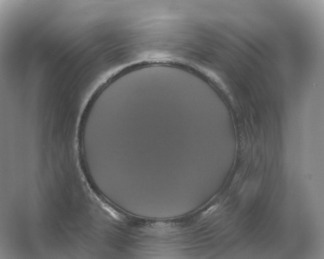 X0000066971327200604142131