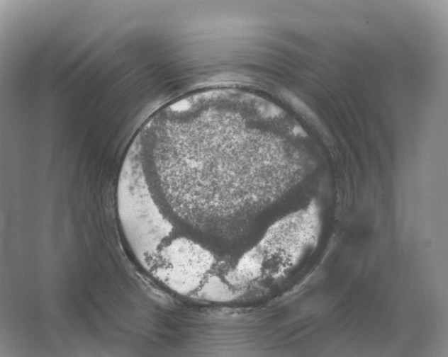 X0000066971329200604142131