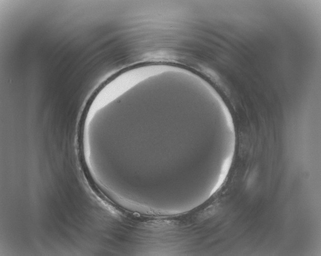 X0000066971331200604142131