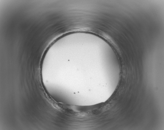 X0000066971332200604142131