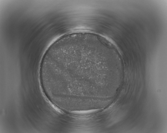 X0000066971333200604142131