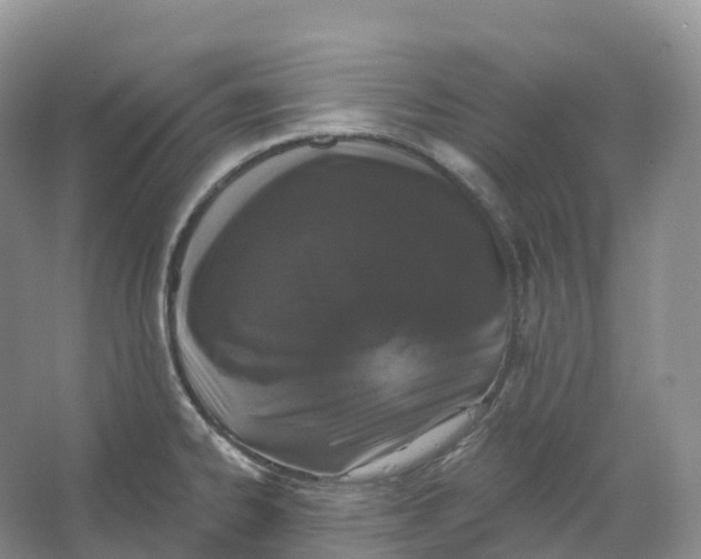 X0000066971334200604142131