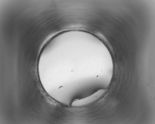 X0000066971336200604142131