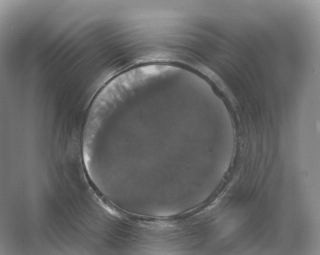 X0000066971337200604142131