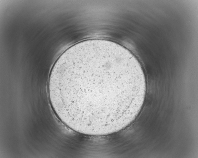 X0000066971338200604142131