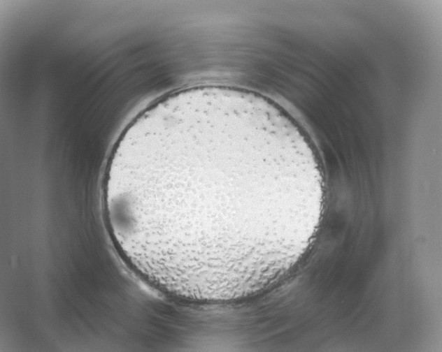 X0000066971341200604142131