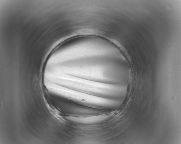 X0000066971342200604142131