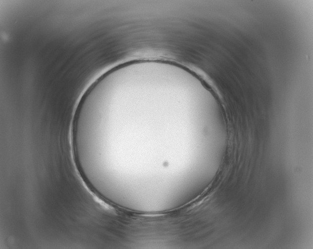 X0000066971343200604142131