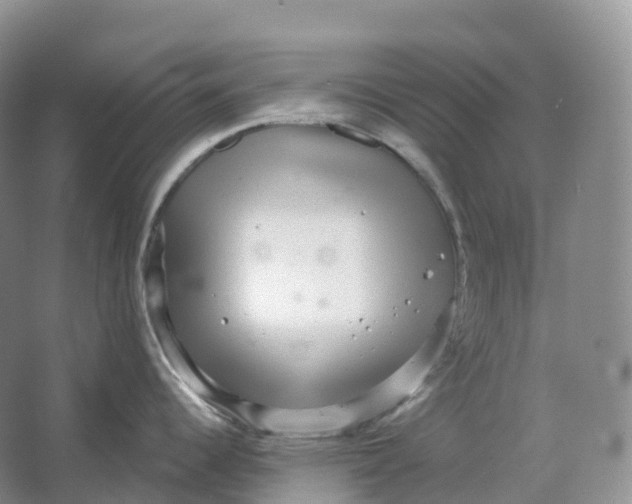 X0000066971344200604142131