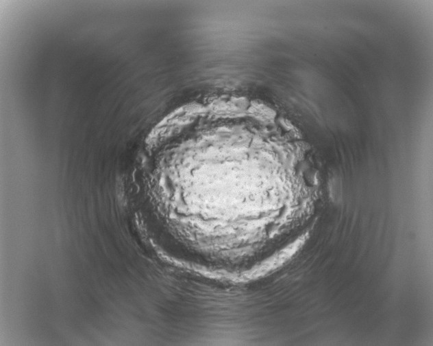 X0000066971347200604142130