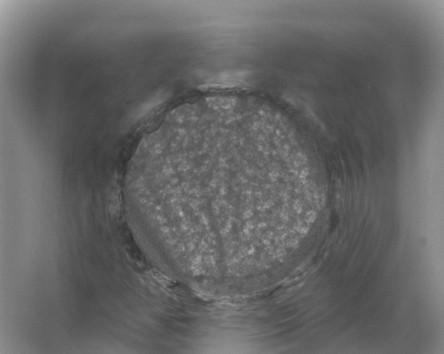 X0000066971350200604142130