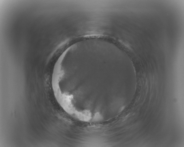 X0000066971351200604142130