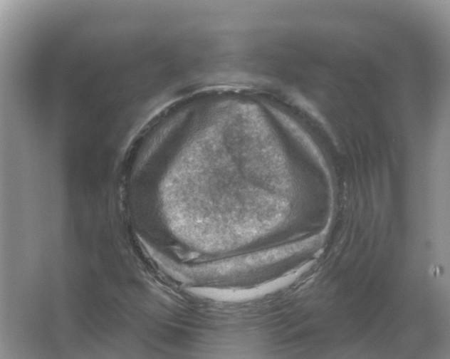 X0000066971352200604142130