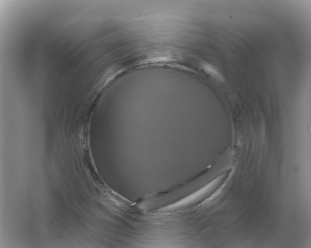 X0000066971353200604142130