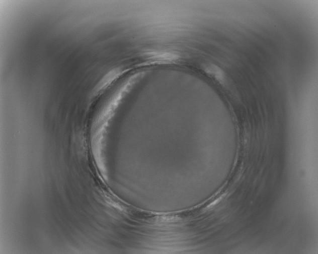 X0000066971354200604142130