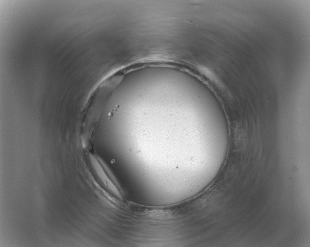 X0000066971356200604142130