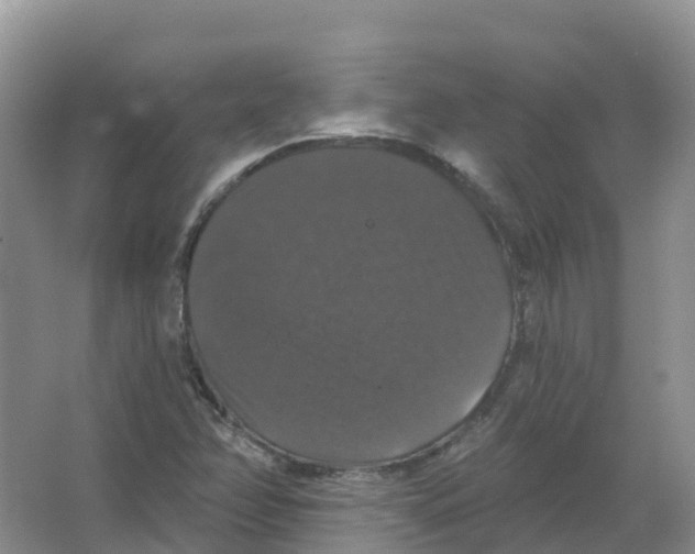 X0000066971358200604142130