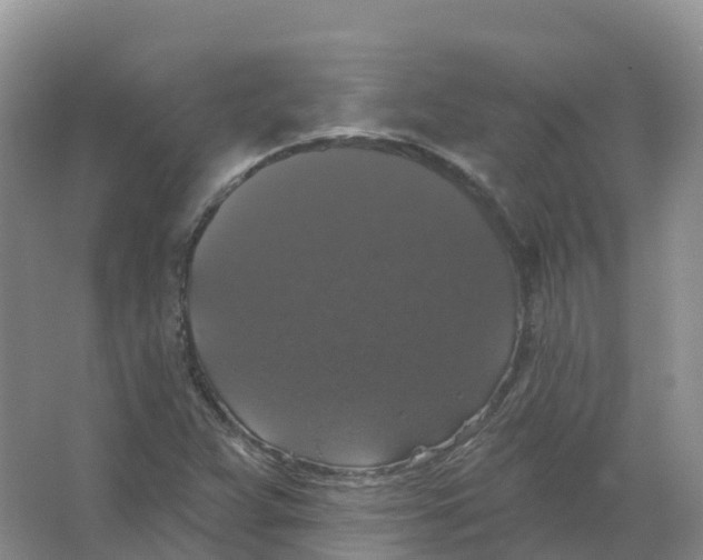 X0000066971359200604142130