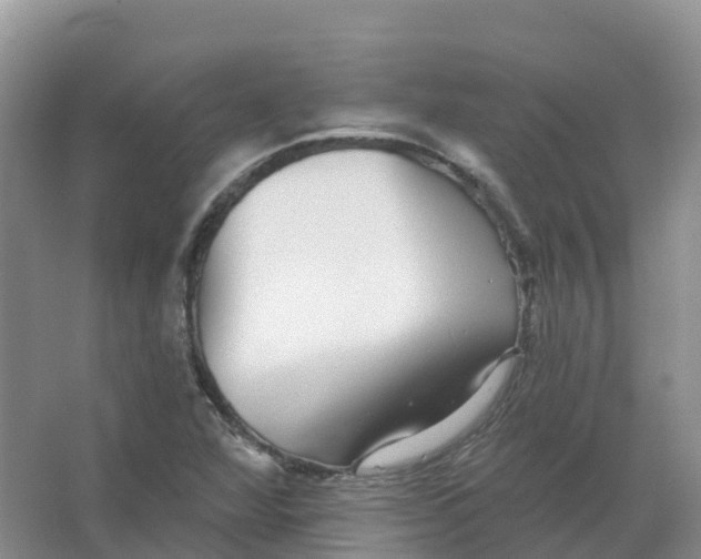 X0000066971360200604142130